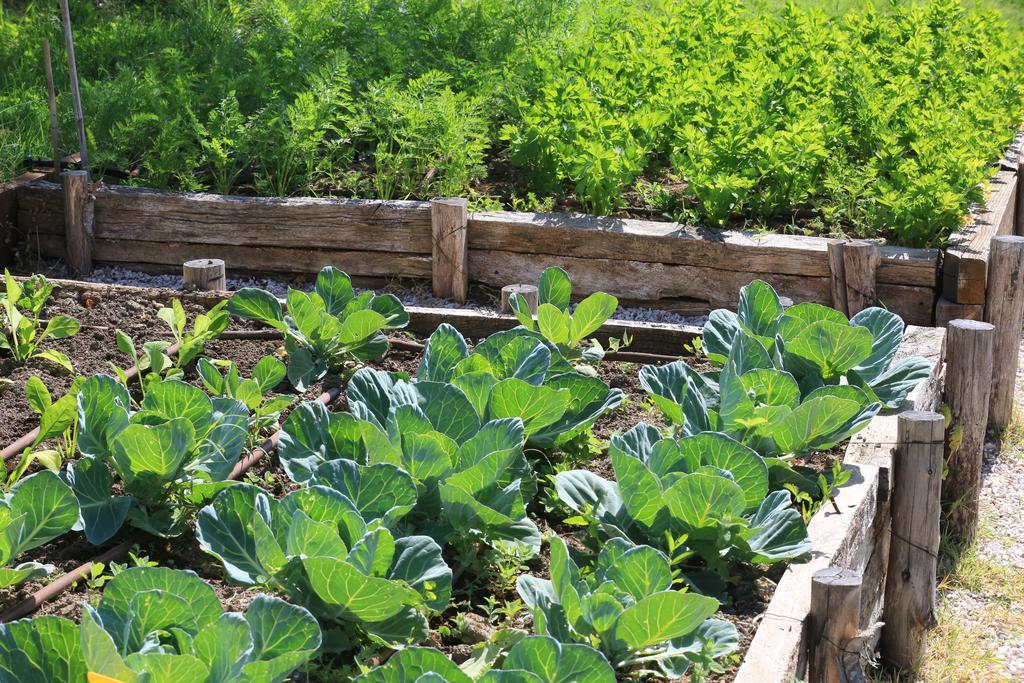 מלון Mengara Borgo Di Carpiano מראה חיצוני תמונה